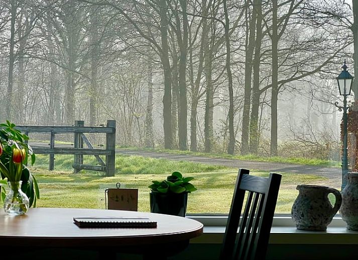 Gemuetliches Ferienhaus in Lemelerveld, umgeben von Baeumen in der Region Vecht, Overijssel, ideal fuer Naturliebhaber.