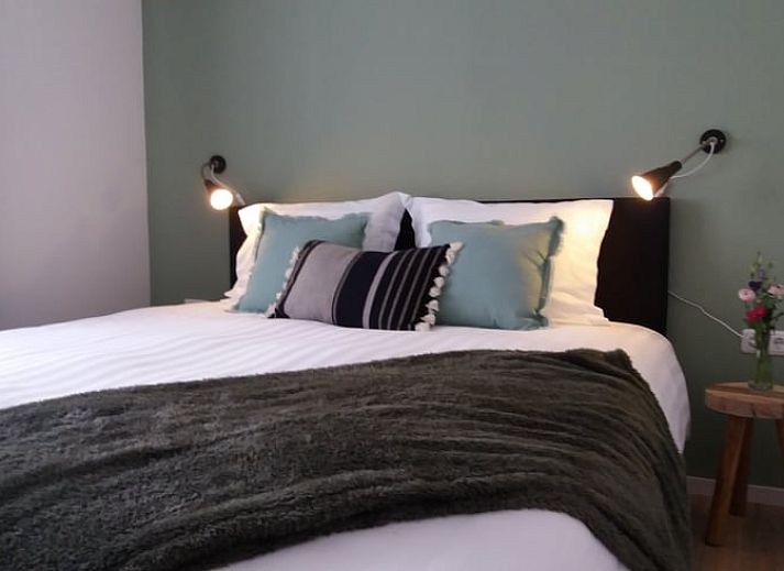 Ferienhaus in Lemelerveld mit Blick auf gruene Felder und Schafe, perfekte Lage in der Region Vecht, Overijssel.