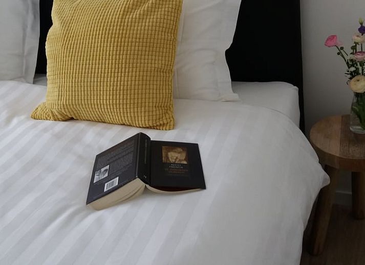 Ferienhaus in Lemelerveld mit Blick auf gruene Felder und Schafe, perfekte Lage in der Region Vecht, Overijssel.