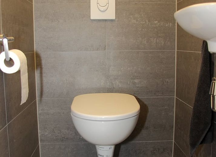 Charmantes Ferienhaus in Lemelerveld, Overijssel, mit gruenem Rasen und laendlicher Atmosphaere in der Region Vecht.