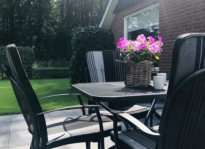 Charmantes Ferienhaus in Lemelerveld, Overijssel, mit gruenem Rasen und laendlicher Atmosphaere in der Region Vecht.