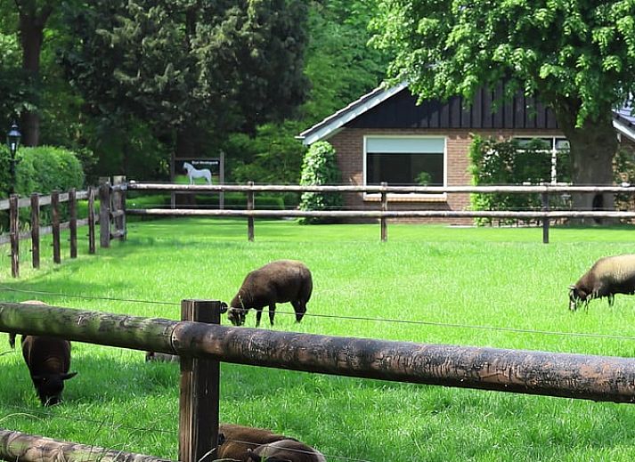 Moderne Kueche in einem Ferienhaus in Lemelerveld, Overijssel, mit Blick auf die natuerliche Umgebung der Vecht-Region.