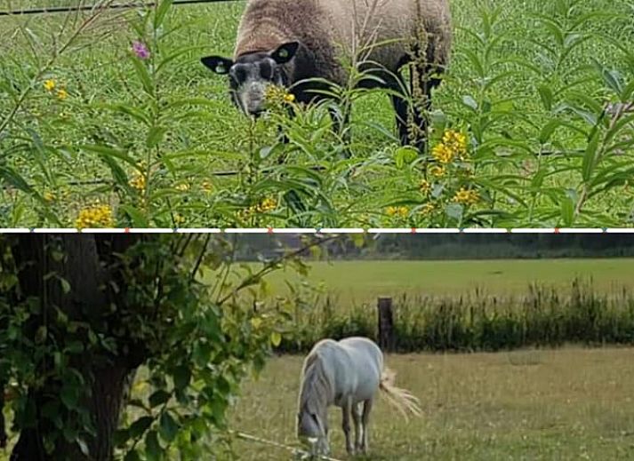 Moderne Kueche in einem Ferienhaus in Lemelerveld, Overijssel, mit Blick auf die natuerliche Umgebung der Vecht-Region.