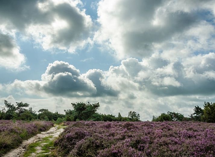 Unterkunft 543405 - Ferienhaus Vechtstreek - Vakantiehuisje in Lemelerveld