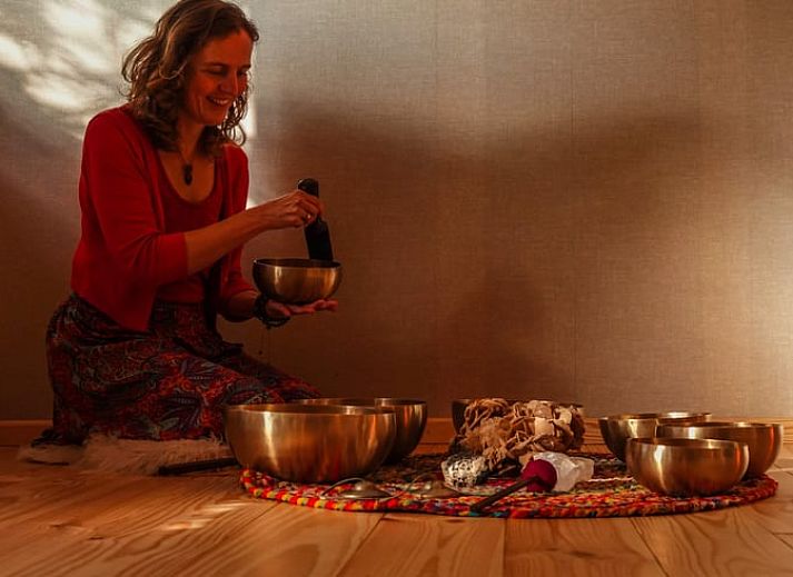 Geniessen Sie den sonnigen Garten des Ferienhauses in De Krim, das in der Region Vecht in Overijssel liegt.