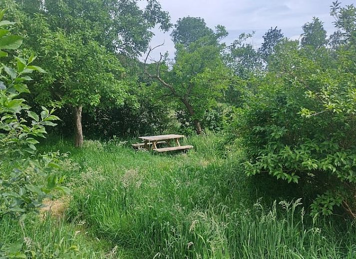 Cozy interior of Holiday home in De Krim, Vecht region with wooden interior.