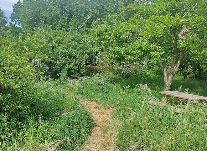 Cozy interior of Holiday home in De Krim, Vecht region with wooden interior.