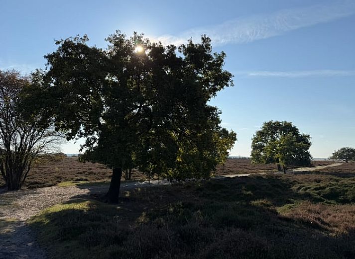 Cozy sitting area with fireplace in Cottage in Kloosterhaar, Vechtstreek, Overijssel.