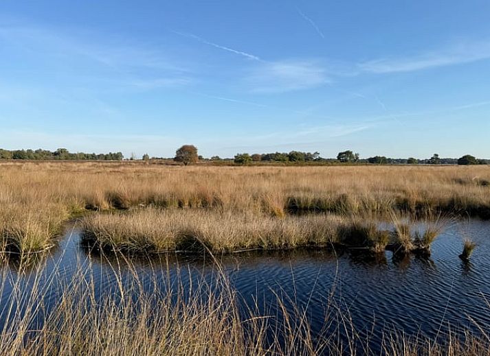 Cozy sitting area with fireplace in Cottage in Kloosterhaar, Vechtstreek, Overijssel.