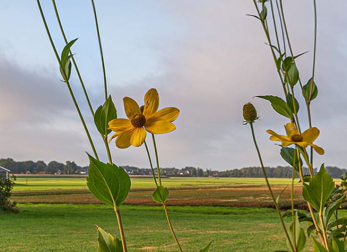 Modern interior of Holiday Home in Kloosterhaar, Vechtstreek, Overijssel with stylish furnishings and wooden accents.