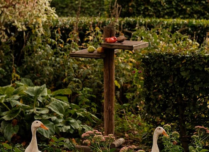 Modern interior of Holiday Home in Kloosterhaar, Vechtstreek, Overijssel with stylish furnishings and wooden accents.
