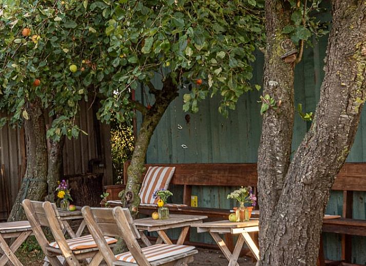 Cozy living room of cottage in Kloosterhaar, Vecht region Overijssel, with modern decor and lots of natural light.