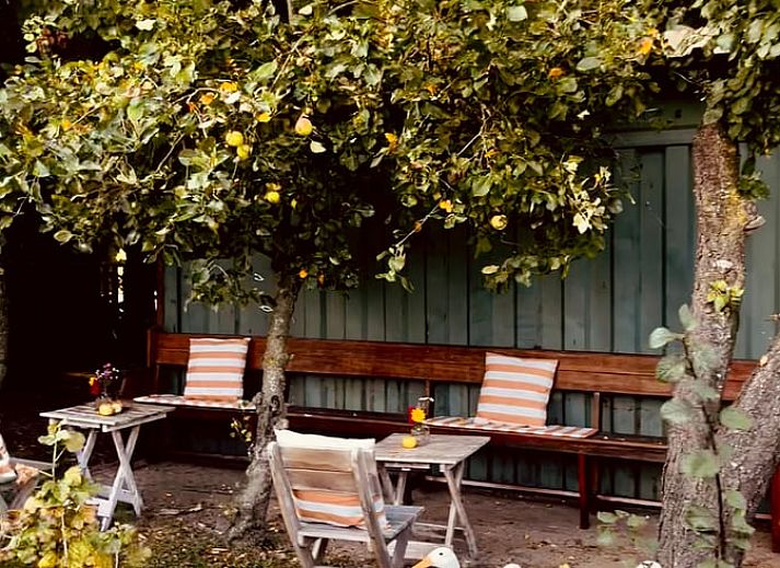 Cozy living room of cottage in Kloosterhaar, Vecht region Overijssel, with modern decor and lots of natural light.