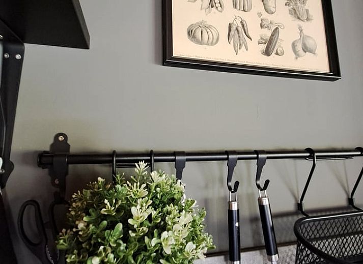 Guest house 543701 - Holiday property Vechtstreek - Huisje in Schuinesloot