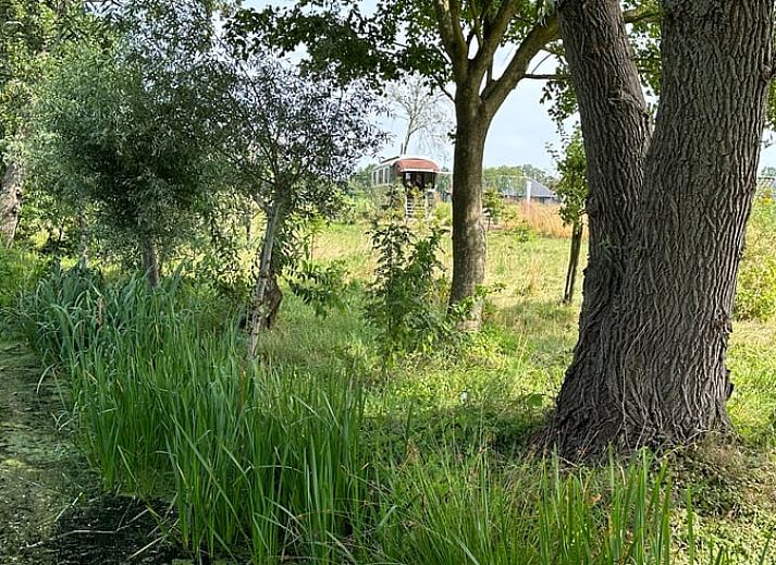 Keuken en woonkamer in Huisje in Punthorst, vakantiehuis in Vechtstreek, Overijssel met houten afwerking.