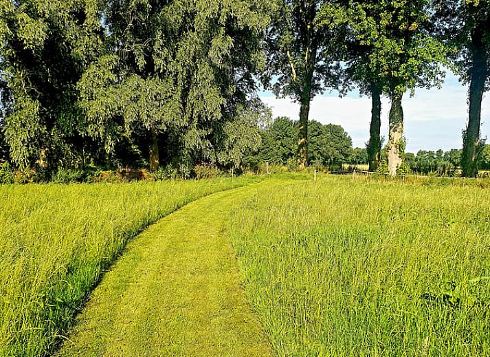 Uitzicht vanaf het terras van Huisje in Dedemsvaart op weelderige velden in Overijssel.