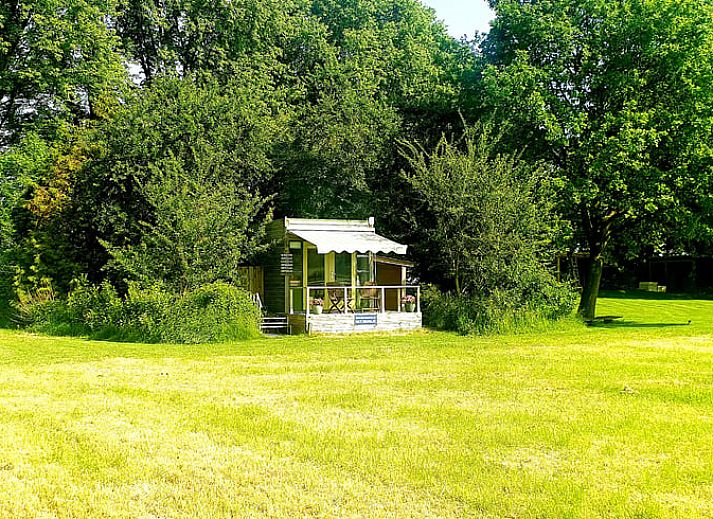 Uitzicht vanaf het terras van Huisje in Dedemsvaart op weelderige velden in Overijssel.