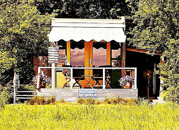 Uitzicht vanaf het terras van Huisje in Dedemsvaart op weelderige velden in Overijssel.