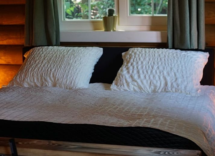 Cozy kitchen in Holiday cottage in Dedemsvaart, complete with wooden interior, in the Vecht region, Overijssel.