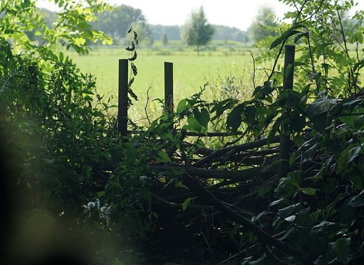 Cozy kitchen in Holiday cottage in Dedemsvaart, complete with wooden interior, in the Vecht region, Overijssel.