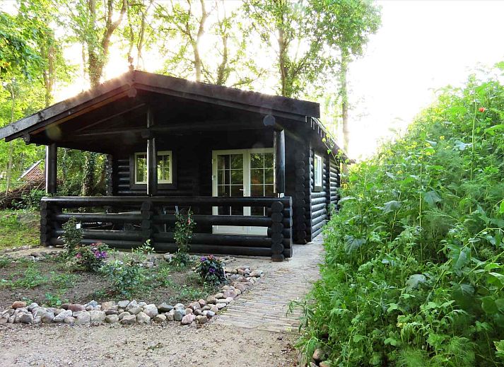 Guest house 544207 • Holiday property Vechtstreek • Sfeervolle 2 persoons blokhut midden in de natuur van 