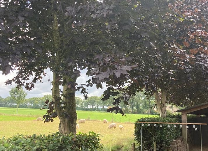 Vakantiehuisje in Vinkenbuurt met uitzicht op groene velden, Vechtstreek, Overijssel.