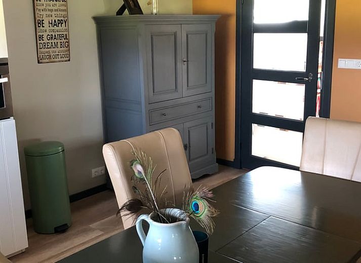 Schapen grazen in weide bij Vakantiehuisje in Vinkenbuurt, Vechtstreek, Overijssel.