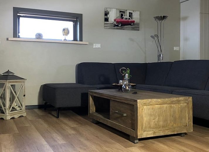 Schapen grazen in weide bij Vakantiehuisje in Vinkenbuurt, Vechtstreek, Overijssel.