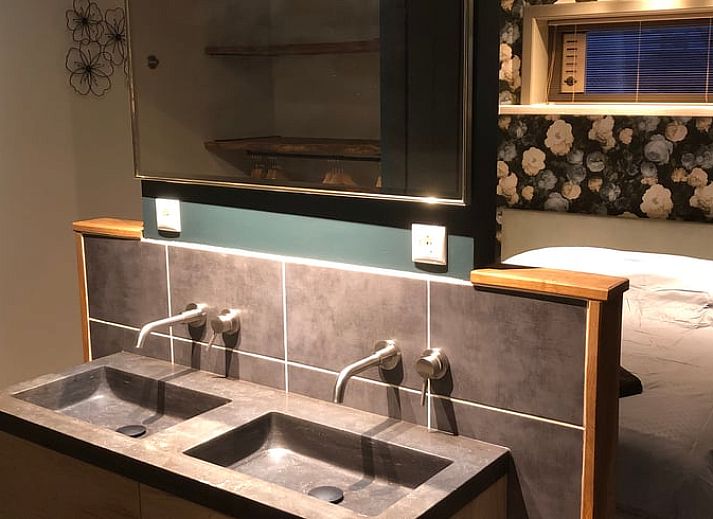 Schapen grazen in weide bij Vakantiehuisje in Vinkenbuurt, Vechtstreek, Overijssel.