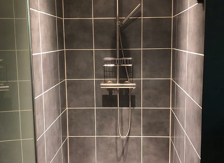 Schapen grazen in weide bij Vakantiehuisje in Vinkenbuurt, Vechtstreek, Overijssel.