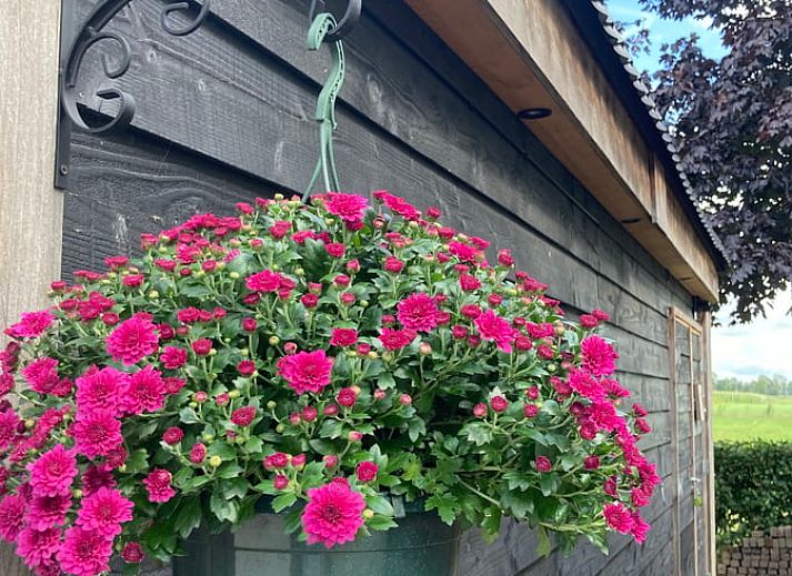 Gezellige woonkamer in Vakantiehuisje in Vinkenbuurt, Vechtstreek, Overijssel.