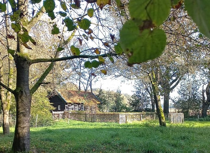 Rustiek vakantiehuis in Brucht, Vechtstreek, Overijssel omringd door groene natuur en bomen.