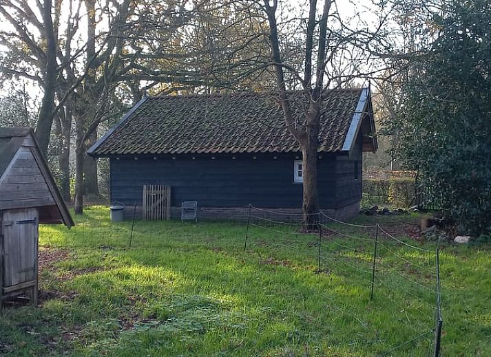 Rustiek vakantiehuis in Brucht, Vechtstreek, Overijssel omringd door groene natuur en bomen.