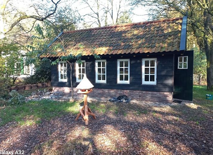 Rustiek vakantiehuis in Brucht, Vechtstreek, Overijssel omringd door groene natuur en bomen.
