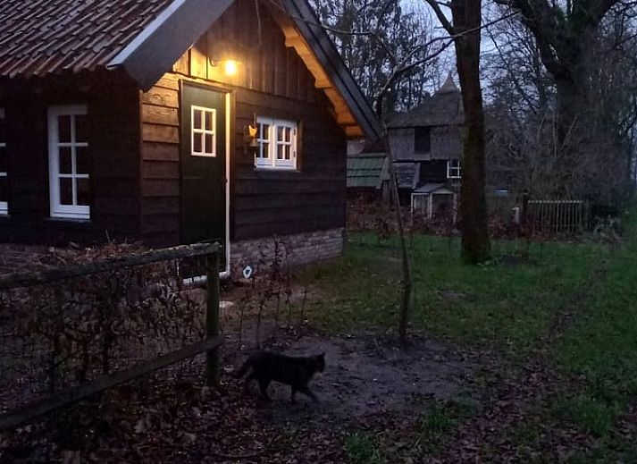 Rustiek vakantiehuis in Brucht, Vechtstreek, Overijssel omringd door groene natuur en bomen.