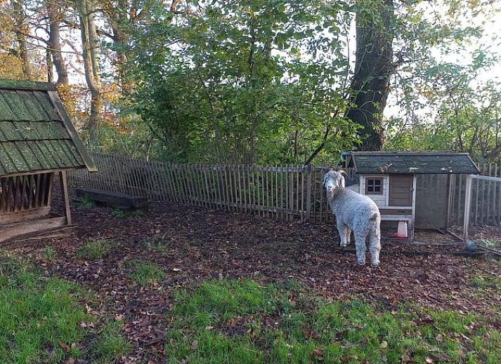 Charmant vakantiehuis in Brucht, Vechtstreek, Overijssel met traditionele houten gevel.