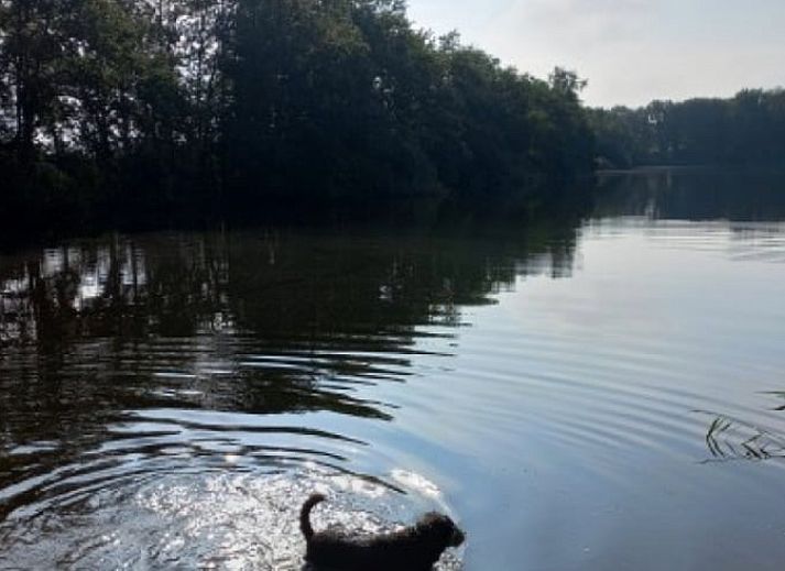 Charmant vakantiehuis in Brucht, Vechtstreek, Overijssel met traditionele houten gevel.
