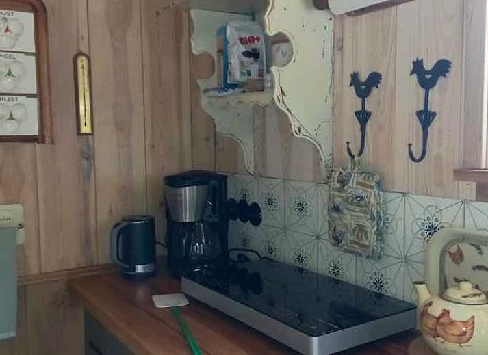 Gezellig vakantiehuis in Brucht, Vechtstreek, Overijssel met groene tuin en schuur.