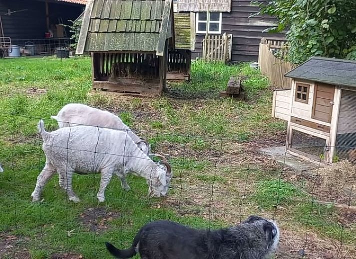 Sfeervol verlicht vakantiehuis in Brucht, Vechtstreek, Overijssel in de avondschemering.