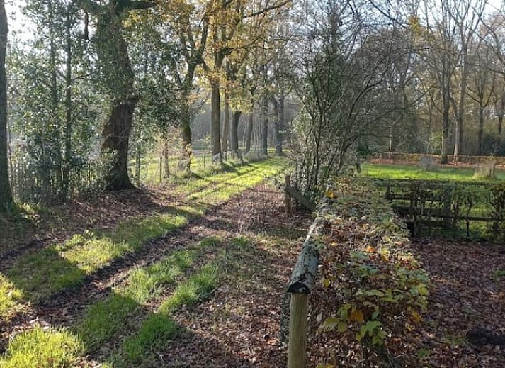 Sfeervol verlicht vakantiehuis in Brucht, Vechtstreek, Overijssel in de avondschemering.