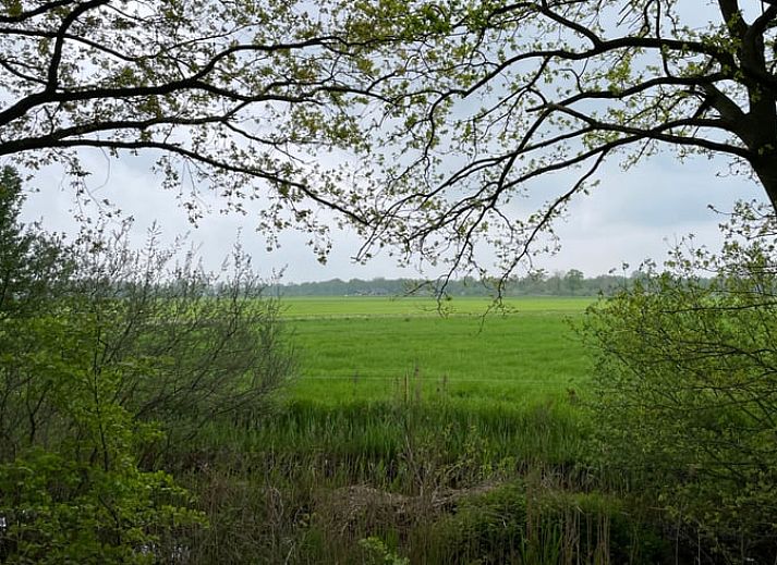 Unterkunft 544601 - Ferienhaus Vechtstreek - Huisje in Holthone