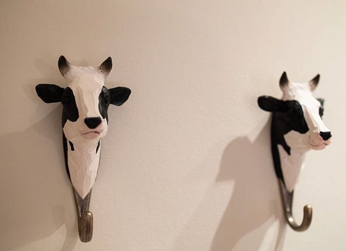 Charmantes Ferienhaus in Collendoorn mit moderner Architektur und natuerlicher Umgebung in Overijssel.