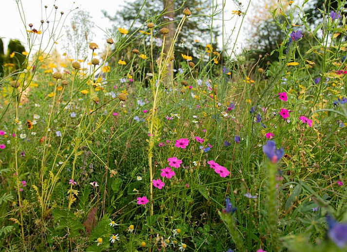 Elegante Dusche im Ferienhaus in Collendoorn mit Marmorverkleidung, gelegen in der Region Vecht, Overijssel.