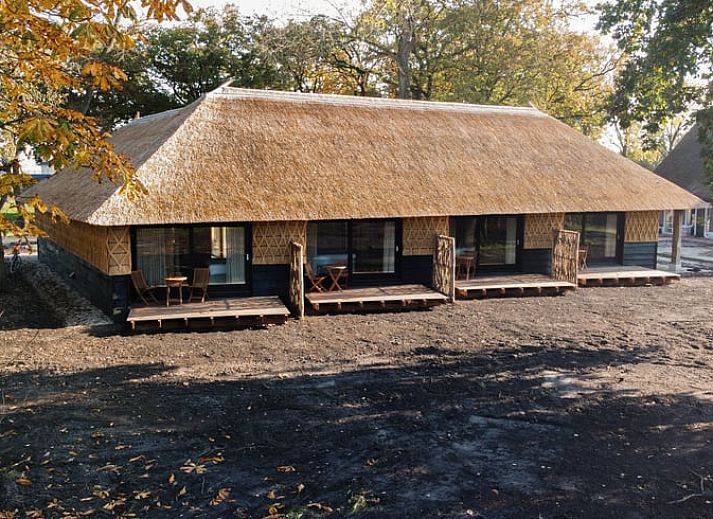 Reetgedecktes Ferienhaus in Collendoorn, in der Region Vecht, Overijssel, gelegen. Perfekt fuer eine laendliche Ferienhaus Erfahrung.