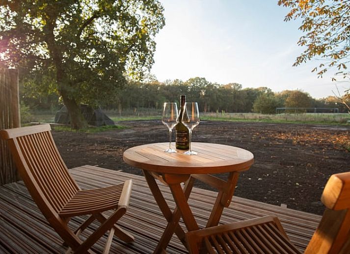 Terrasse des Ferienhauses in Collendoorn, Vechtstreek, Overijssel. Geniessen Sie die Ruhe und die Natur rund um das Ferienhaus.