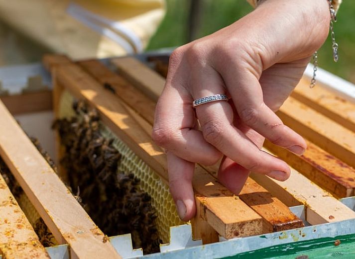 Modernes Badezimmer im Ferienhaus in Collendoorn, Vechtstreek, Overijssel. Luxurioese Ausstattung fuer einen komfortablen Aufenthalt.