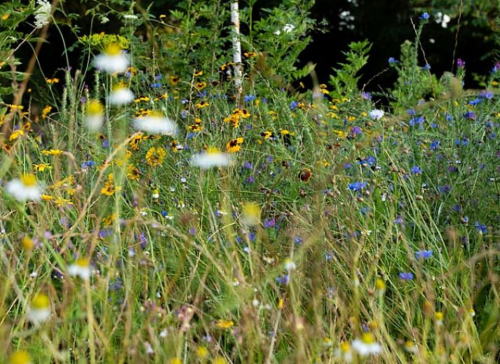 Stijlvolle badkamer in Huisje in Collendoorn, Vechtstreek. Vakantiehuis met luxe voorzieningen in Overijssel.