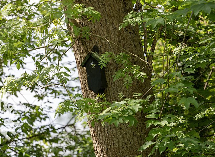 Kanus und Boote im Ferienhaus OV269 in Giethoorn, Nordwest Overijssel, umgeben von Natur.