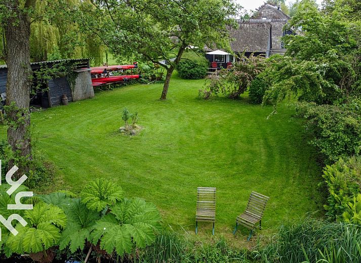 Rustieke weide met koeien nabij OV270 vakantiehuis in Giethoorn, omgeven door de natuur van Noordwest Overijssel.