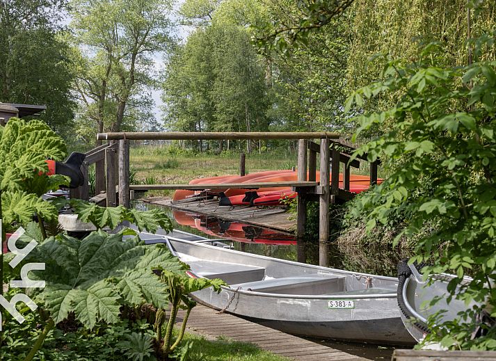 Rustieke weide met koeien nabij OV270 vakantiehuis in Giethoorn, omgeven door de natuur van Noordwest Overijssel.